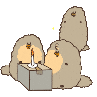 Night Beige Sticker