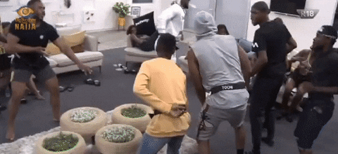 BigBrotherNaija giphyupload party dancing lit GIF