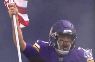 Minnesota Vikings Football GIF by NFL