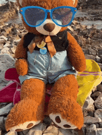 Happy Summer GIF