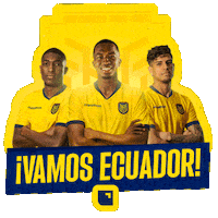 Ecuador Finanzas Sticker by Banco Pichincha