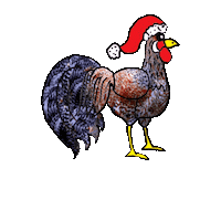 Gallo Sticker