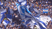 Football Fans GIF by FC Schalke 04