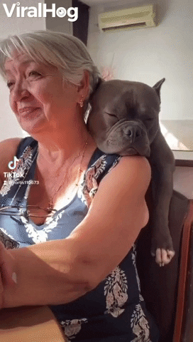 Bully Takes Big Nap On Grandmas Shoulder GIF by ViralHog