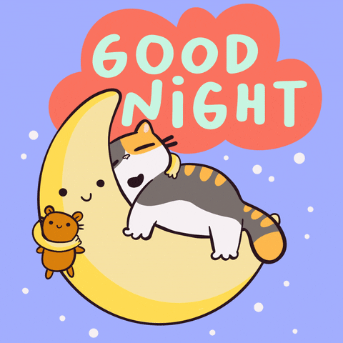 Good Night Cat GIF by Mumosa & Ragout