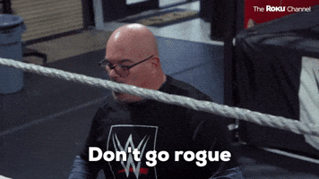 Don't Go Rogue