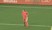 Womens Soccer Hug GIF by National Women's Soccer League