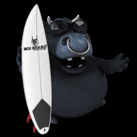 Brabinho GIF by Boi Brabo