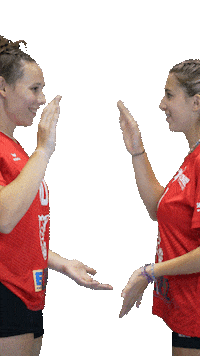 Volleyball Svf Sticker by Rotes Rudel