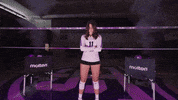 Volleyball GIF by Tommie Athletics