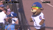 Chicago Cubs Sport GIF by MLB