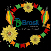 brasildigitaltelecom internet wifi brasil digital brasildigital GIF
