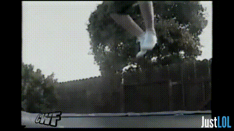 cats lol GIF by Unreel Entertainment