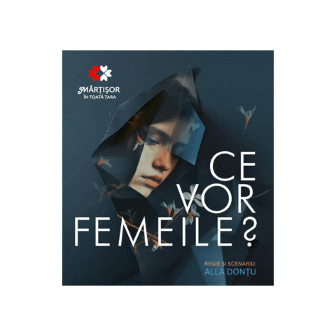 Ce Moldova Sticker by youbesc