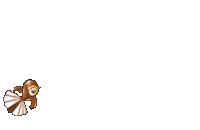 Flying New Zealand Sticker