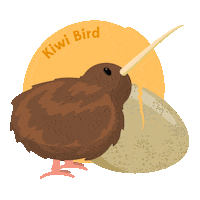 Kiwi Bird Nz Sticker by Pure New Zealand