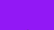 Stephanie Scorziello GIF by Originals