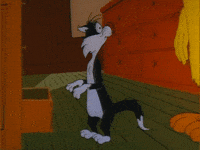 Scared Uh Oh GIF by Looney Tunes