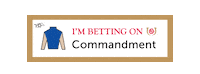 Horse Racing Sticker by Kentucky Derby