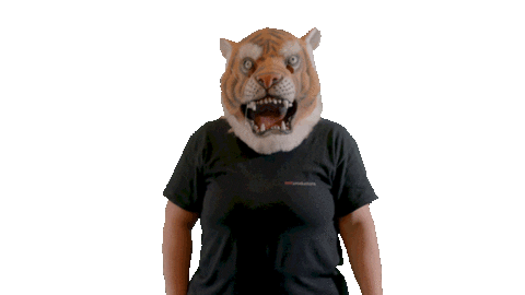 Fun Team Sticker by bnlproductions