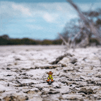 Emoji Cowboy GIF by GIPHY Studios 2022