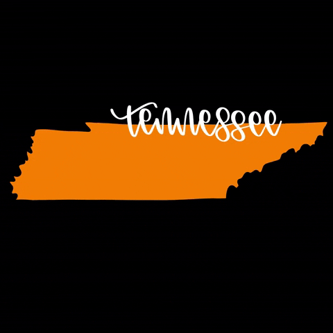 Tennessee Volunteers Football GIF