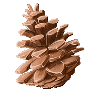 Christmas Winter Sticker