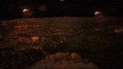 earacherecords gizmo gizmo no teeth GIF