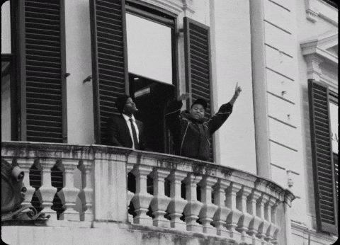 Prince George Pg GIF by IDK