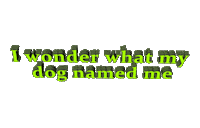 dog Sticker