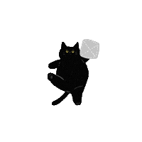 hiddenwu cat blackcat woomi hiddenwu Sticker