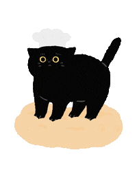 hiddenwu cat blackcat woomi hiddenwu Sticker