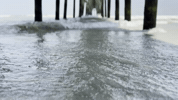 Beach Ocean GIF by Mstokie50