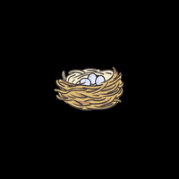 lexirupert tired sleep bird sleepy GIF
