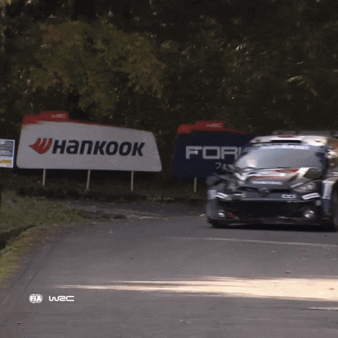 Japan Fans GIF by FIA World Rally Championship
