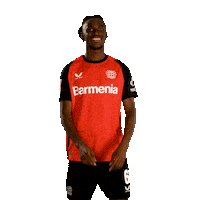 Bayer 04 Bundesliga Sticker by Bayer 04 Leverkusen