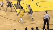 Tamika Catchings GIF by Indiana Fever
