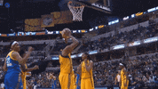 dallas wings basketball GIF by Indiana Fever