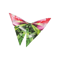 Waldland waldviertel mohn zwettl regionaleprodukte Sticker