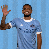Major League Soccer Reaction GIF by NYCFC