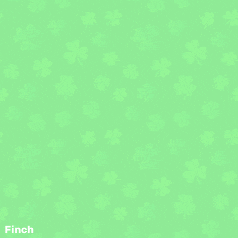 Happy St Patricks Day GIF by Finch Care