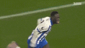 Football Brighton GIF