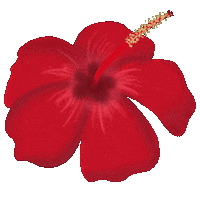 Happy Flowers Sticker
