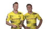 borussia dortmund love Sticker by Bundesliga