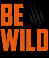 clawtraining claw bewild GIF