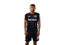 Bayer 04 Werkself Sticker by Bayer 04 Leverkusen