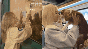 Puppy Kitty GIF