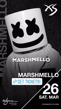 Las Vegas Dj GIF by Subskile