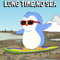Miss You Penguin GIF by Pudgy Penguins