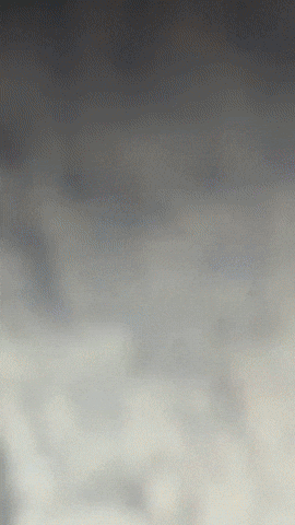 Strangerthingseleven Strangerthingsmike GIF by Youtooz
